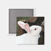 konijnenmagneet magneet (Voorkant / Achterkant)