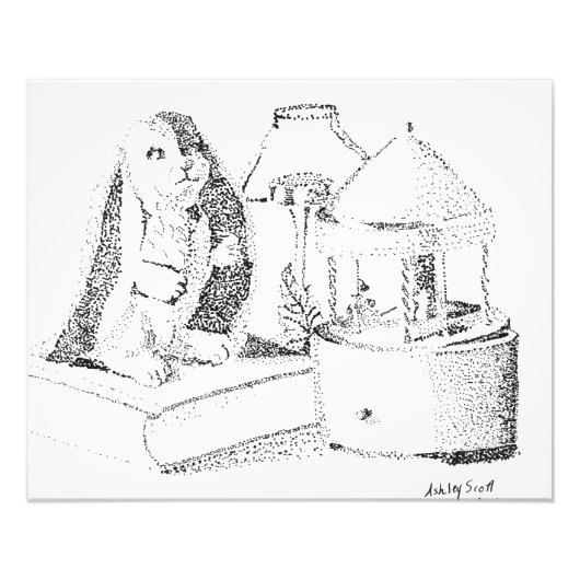 Konijnenmomenten Foto Afdruk (Voorkant)