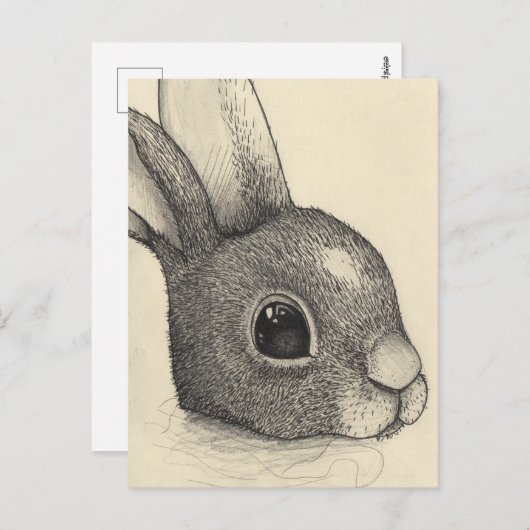 Konijnenogen Feestdagenkaart (Voorkant / Achterkant)