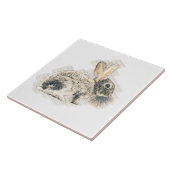  Konijnenpotlood Etsen Tegeltje (Zijkant)