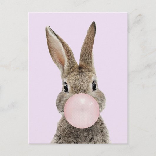 Konijnenroze knobbelkieuwmeel briefkaart (Voorkant)