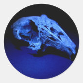 Konijnenschedel - Set van 20 Stickers (Voorkant)