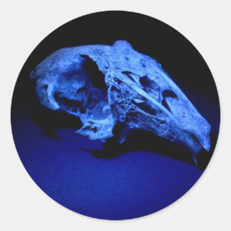 Konijnenschedel - Set van 20 Stickers