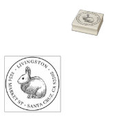 Konijnenschets Ronde Familienaam & Terugkeeradres Rubberstempel (Gestempeld)