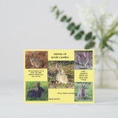 Konijnensoort uit South Carolina Briefkaart (Staand voorkant)