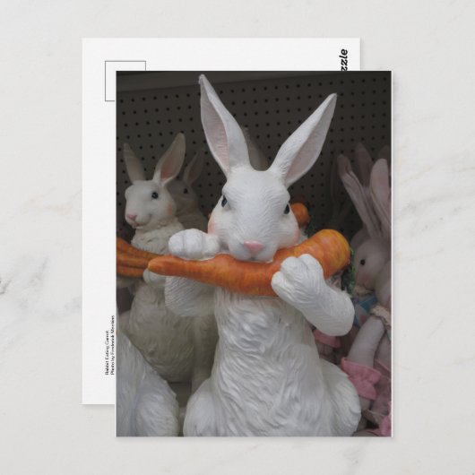 Konijnenwortel Briefkaart