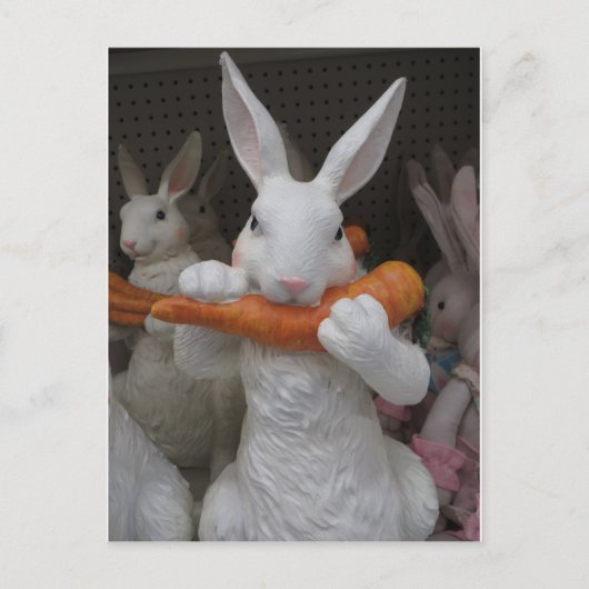 Konijnenwortel Briefkaart (Voorkant)