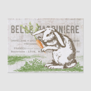 Konijnenwortel Franse paasambacht Decoupage Tissuepapier