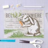 Konijnenwortel Franse paasambacht Decoupage Tissuepapier (Craft)