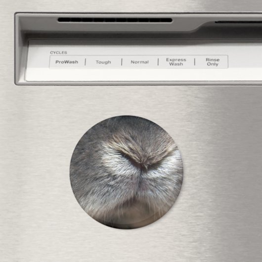 Konijnneus Magneet (Insitu (Vaatwasser))