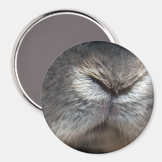 Konijnneus Magneet (Voorkant / Achterkant)