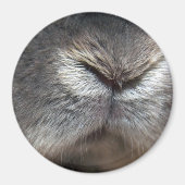 Konijnneus Magneet (Voorkant)