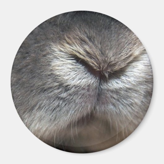 Konijnneus Magneet (Voorkant)