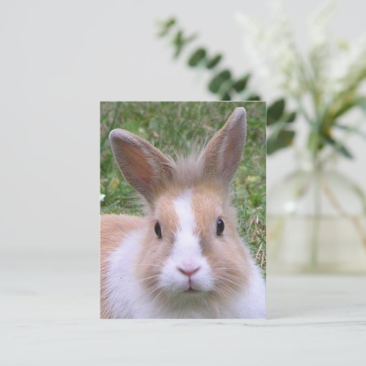 konijntje briefkaart (Staand voorkant)
