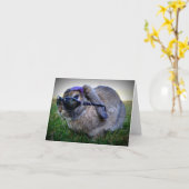 Konijntje met Zonnebril/de Kaart van de Nota (Gele Bloem)