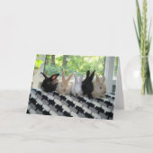 Konijntjes Kaart (Voorkant)