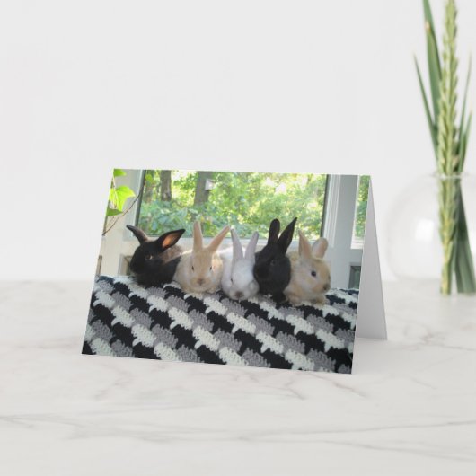 Konijntjes Kaart (Voorkant)