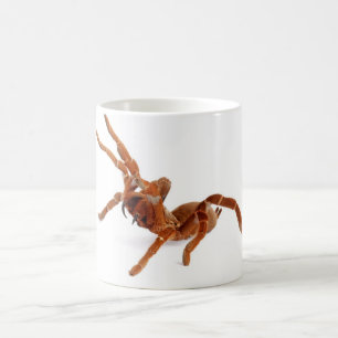 Koning Baboon Tarantula. Koffiemok