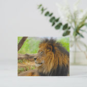 koning briefkaart (Staand voorkant)