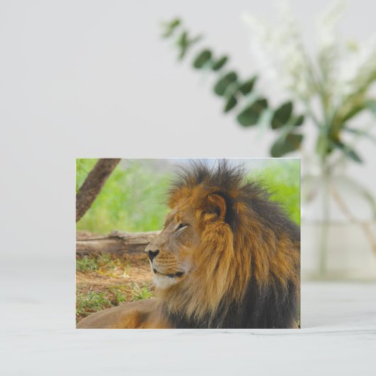 koning briefkaart (Staand voorkant)