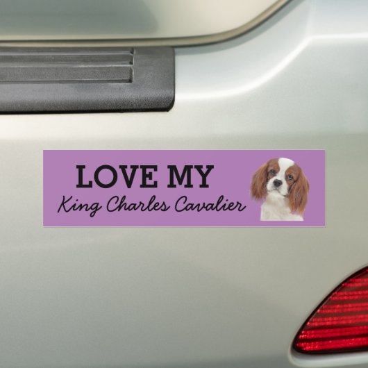 Koning Charles Cavalier bumper sticker (Op auto)
