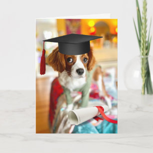 Koning Charles Cavalier Puppy Lege Wenskaart Kaart