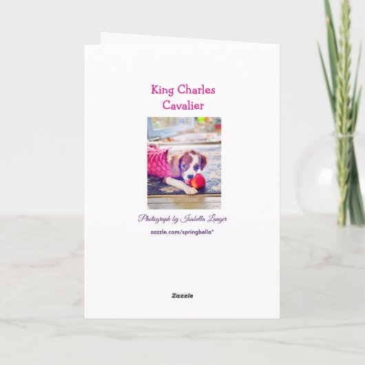 Koning Charles Cavalier Puppy Lege Wenskaart Kaart (Achterkant)