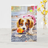 Koning Charles Cavalier Puppy Lege Wenskaart Kaart (Gele Bloem)
