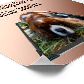 Koning Charles Cavalier Spaniel, Pop uit Kunst Pos Poster (Hoek)