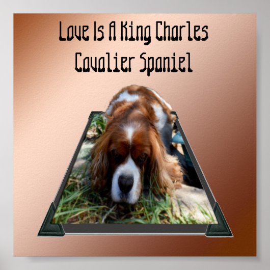 Koning Charles Cavalier Spaniel, Pop uit Kunst Pos Poster (Voorkant)
