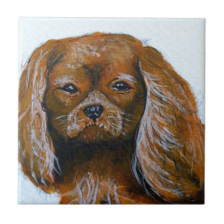 Koning Charles Cavalier Spaniel rood Tegeltje