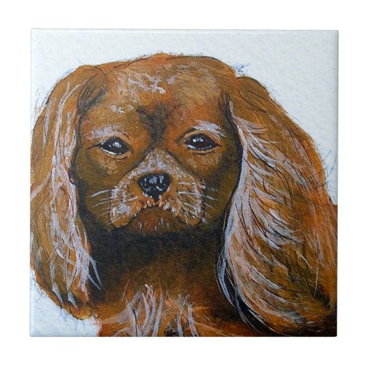Koning Charles Cavalier Spaniel rood Tegeltje (Voorkant)