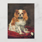Koning Charles Spaniel, Briefkaart voor kunst (Voorkant)