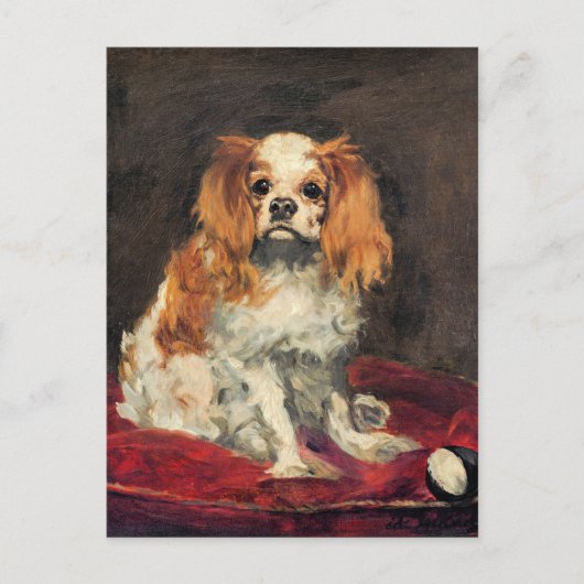 Koning Charles Spaniel, Briefkaart voor kunst (Voorkant)