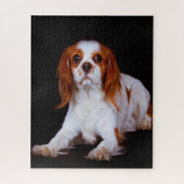 Koning Charles Spaniel Dog. Legpuzzel (Verticaal)