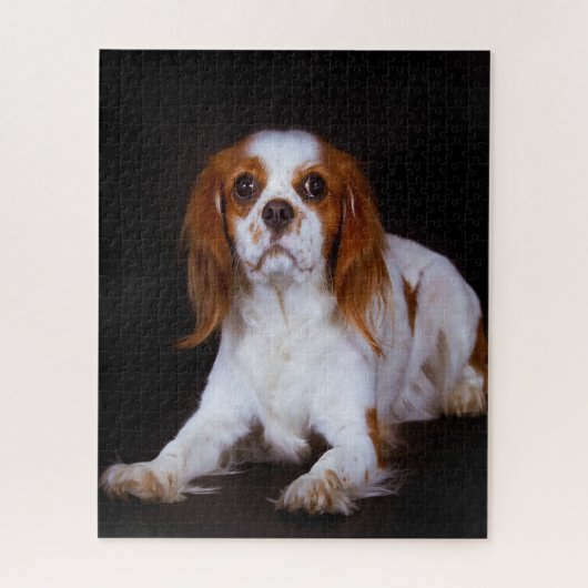 Koning Charles Spaniel Dog. Legpuzzel (Verticaal)