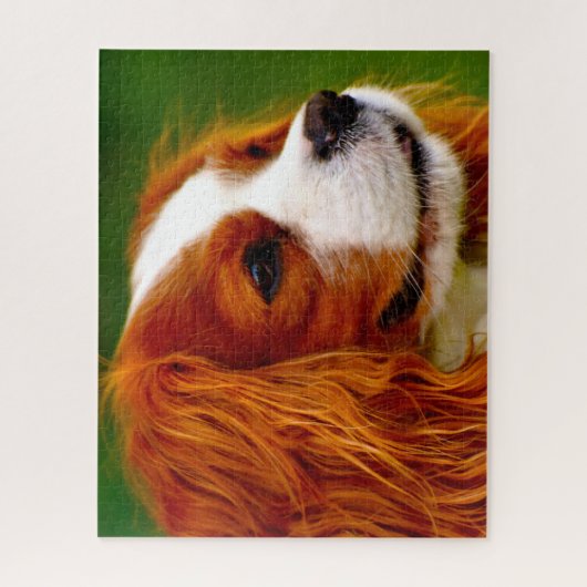Koning Charles Spaniel Dog. Legpuzzel (Verticaal)