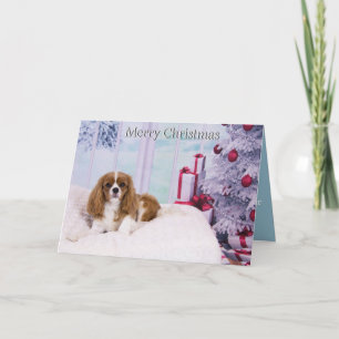Koning Charles Spaniel door de Kaart van de kerstb