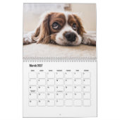 Koning Charles Spaniel Kalender (Mar 2027)