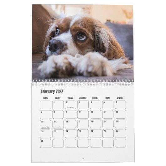 Koning Charles Spaniel Kalender (Feb 2027)