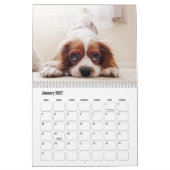 Koning Charles Spaniel Kalender (Jan 2027)
