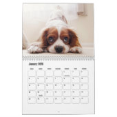 Koning Charles Spaniel Kalender (Jan 2026)