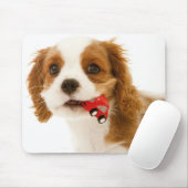 Koning Charles Spaniel met rode auto in haar mond. Muismat (Met muis)