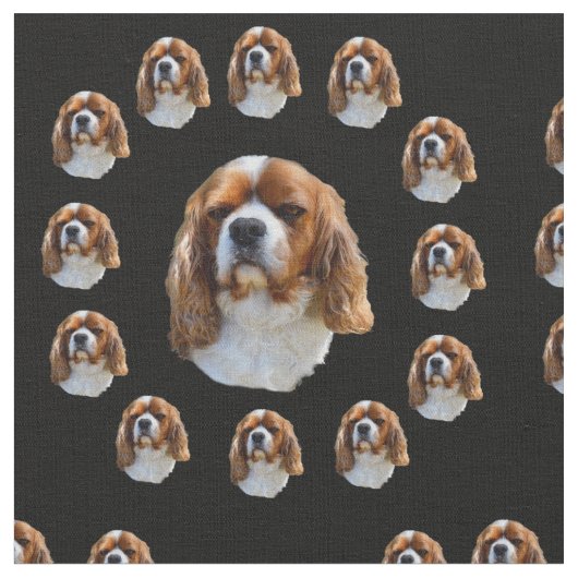 Koning Charles Spaniel Patroon, Stof (Close Up)