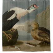 Koning Duck (King Eider) Audubon's Birds of Americ Douchegordijn (Voorkant)