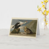 Koning Duck (King Eider) Audubon's Birds of Americ Kaart (Gele Bloem)
