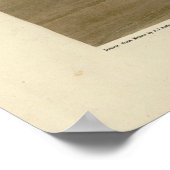 Koning Duck (King Eider) Audubon's Birds of Americ Poster (Hoek)