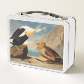 Koning Eider Duck van de Amerikaanse vogels (Audub (Achterkant)