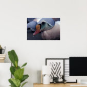 koning eider man canvas print (Thuiskantoor)