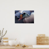 koning eider man canvas print (Keuken)